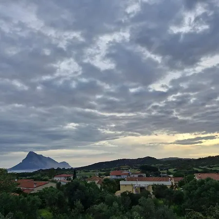 Silvy By Domusaway Apartment Porto San Paolo (Sardinia)